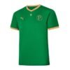 Camisa Palmeiras Edição Limitada Mundial 1951 Torcedor Masculina