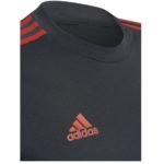 144236927_4352775858085583_4155301494377857132_n(3)(4)(5)