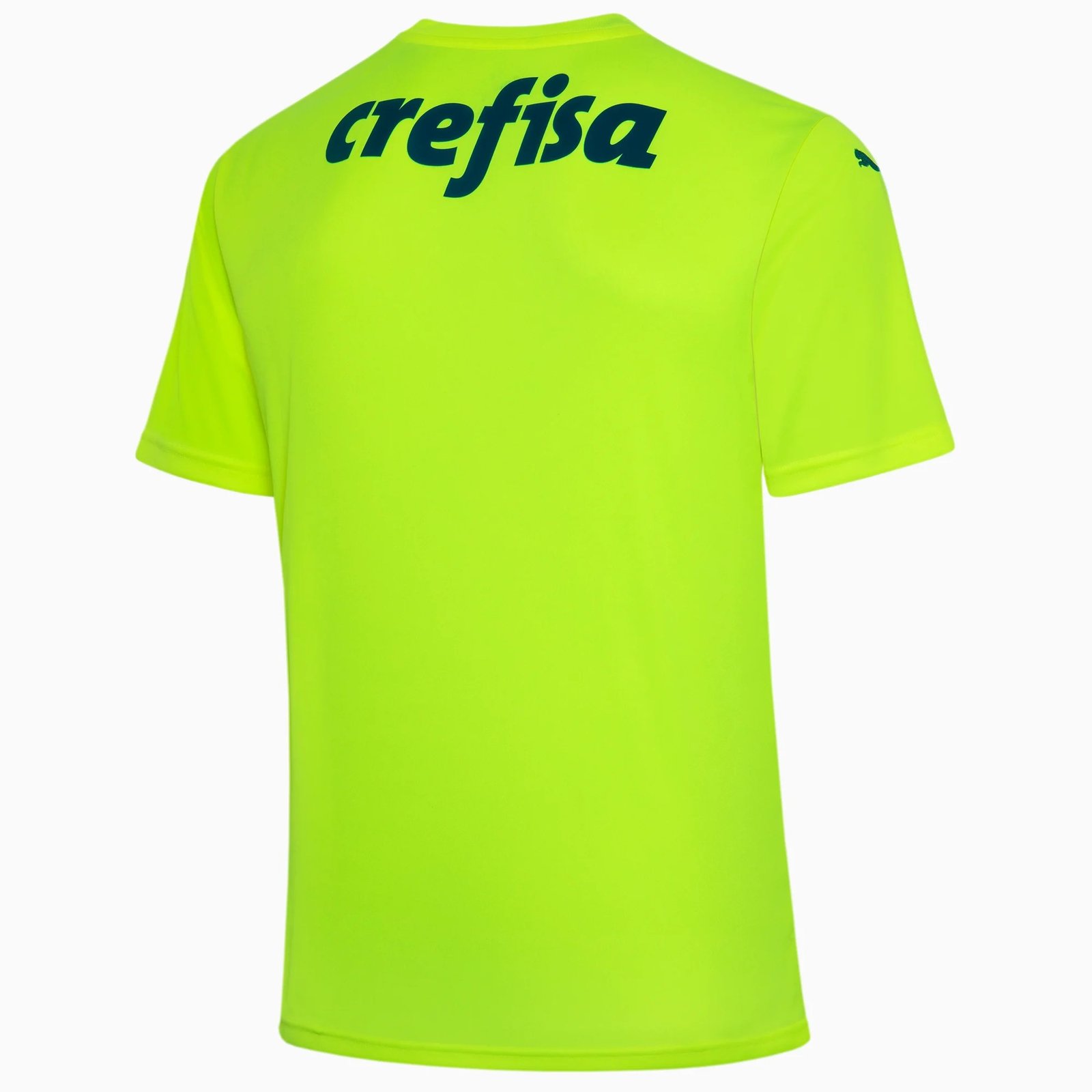 png (1) CAMISA PALMEIRAS GOLEIRO VERDE