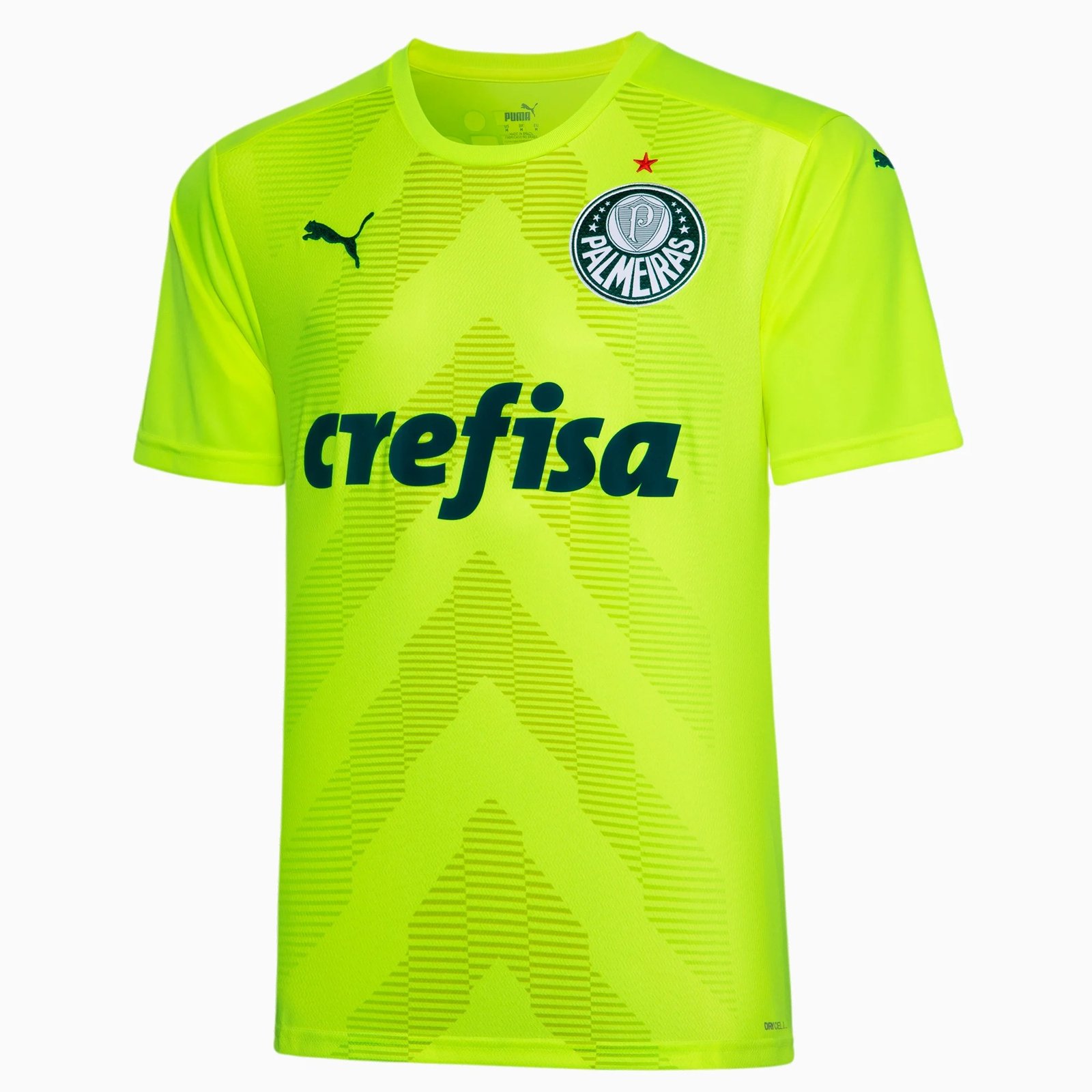 png CAMISA PALMEIRAS GOLEIRO VERDE