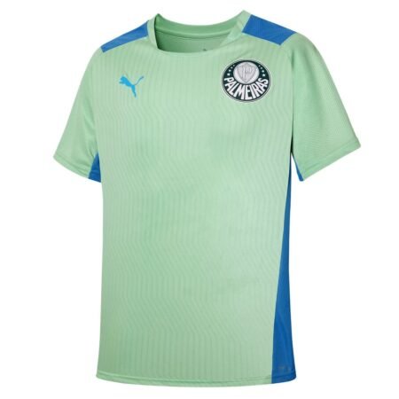Camisa Palmeiras Treino 22/23 Masculina