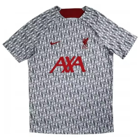 Camisa de Treino Liverpool 2023/24 Cinza