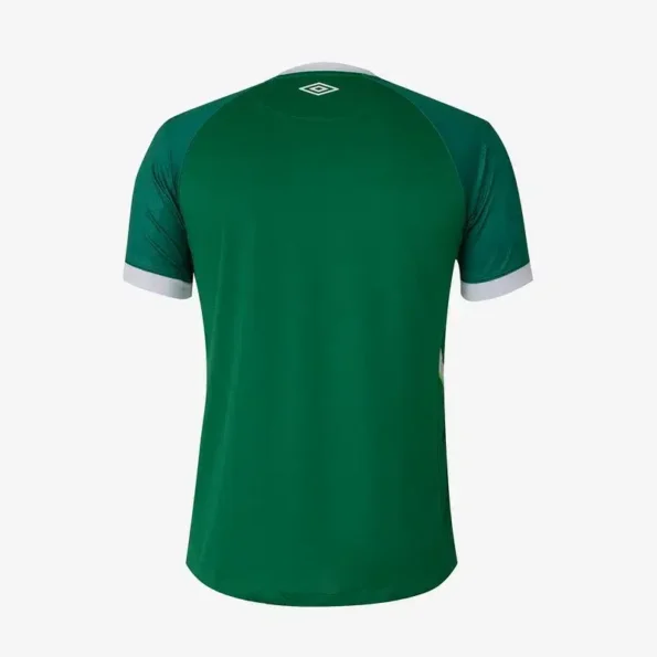 Camisa Chapecoense Verde 2023/24 Masculina