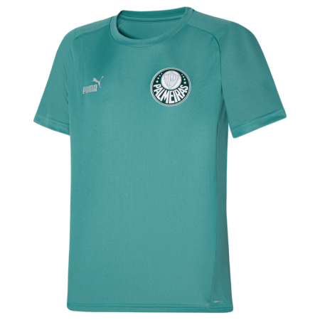 Camisa Verde Viagem Palmeiras 2023 Masculina