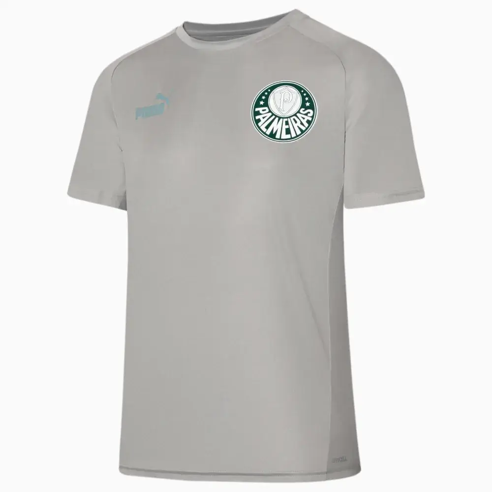 png (1) Camisa Cinza Palmeiras 2023/24 Masculina