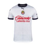 PLAYERA_VISITA_PROMO_P5525_A22__93154