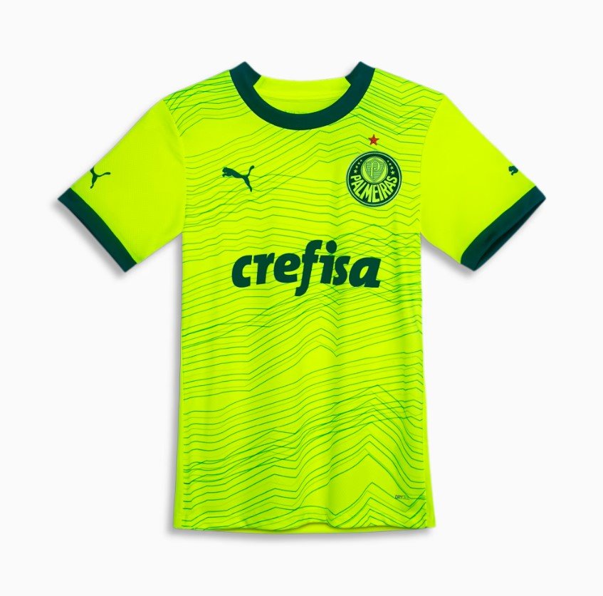 Captura de tela 2023-08-24 230017 Nova Camisa do Palmeiras 3 2023/24 Feminina