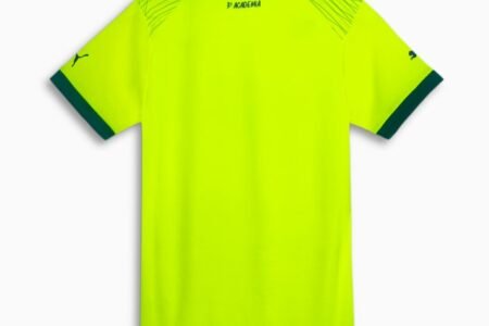 Nova Camisa do Palmeiras 3 2023/24 Feminina