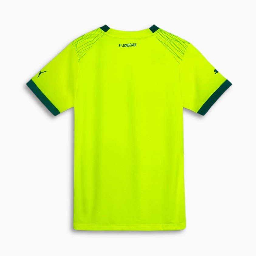 Captura de tela 2023-08-24 230031 Nova Camisa do Palmeiras 3 2023/24 Feminina