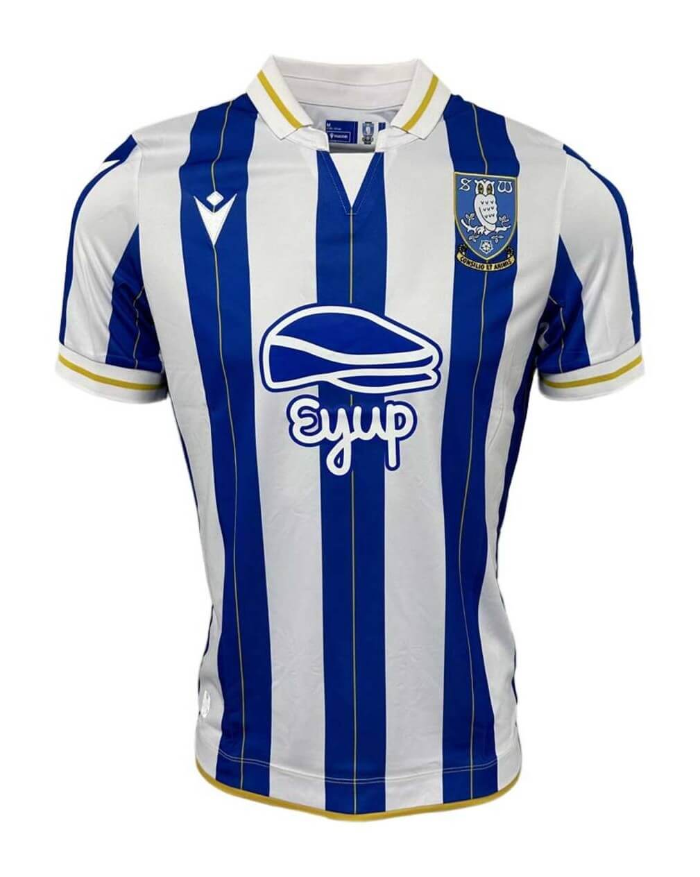 CAMISA CARDIFF CITY - CASA/ HOME - TORCEDOR - 21/22 – Donos da