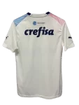 Camisa Palmeiras Outubro Rosa Novembro Azul Goleiro 2023 Masculina