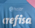 Camisa Palmeiras Outubro Rosa Novembro Azul 2023 Masculina