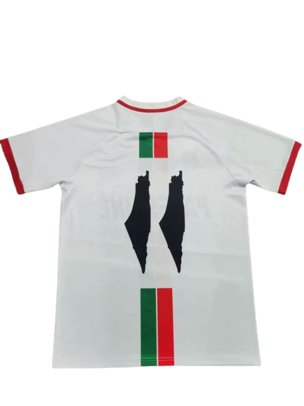 Camisa Seleção da Palestina Branca 2023/24 Masculina Camisa Seleção da Palestina Branca 2023/24 Masculina