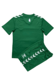 Kit Infantil Everton Goleiro Verde 2023/24 Unissex
