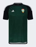 Camisa Emirados Árabes II Verde 2023/24 Masculina