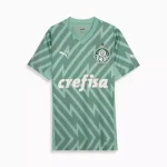 Camisa Palmeiras Goleiro Verde II Away 2024/25 Masculina