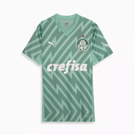 Camisa Palmeiras Goleiro Verde II Away 2024/25 Masculina