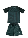 Kit Infantil Werder Bremen Verde 2023/24 Unissex