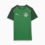 Camisa Palmeiras Casual Verde Escuro 2024/25 Masculina