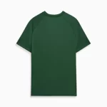 Camisa Palmeiras Treino Verde 2024/25 Masculina