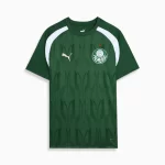 Camisa Palmeiras Treino Verde 2024/25 Masculina