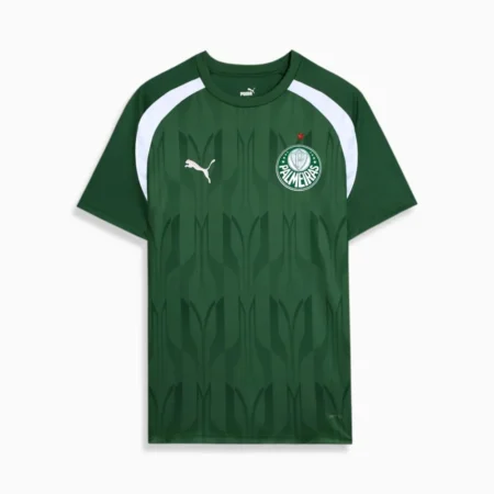Camisa Palmeiras Treino Verde 2024/25 Masculina