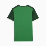 Camisa Palmeiras Casual Verde Escuro 2024/25 Masculina