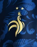 Camisa França Les Bleus Azul Commafootball 2023/24