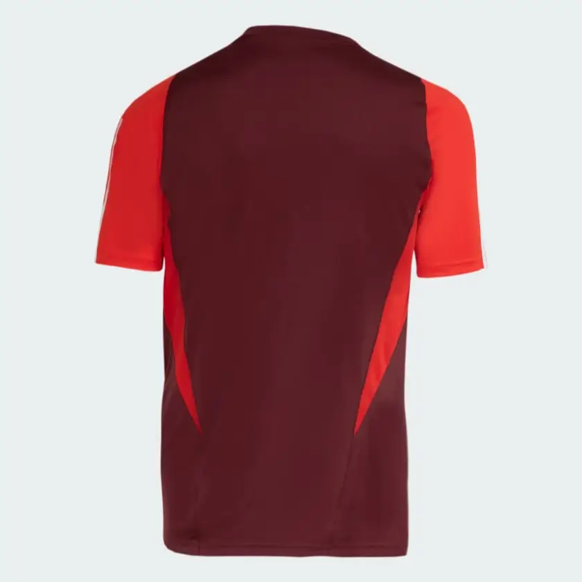 Camisa Internacional Comissão Técnica Vinho 2024/25 Masculina Camisa Internacional Comissão Técnica Vinho 2024/25 Masculina