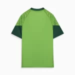 Camisa Treino/Viagem Palmeiras Verde 2024/25 Masculina