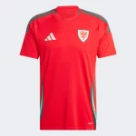 Nova Camisa País de Gales I Home Vermelha 2024/25 Masculina