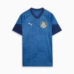 Camisa Treino/Viagem Palmeiras Azul 2024/25 Masculina