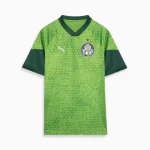 Camisa Treino/Viagem Palmeiras Verde 2024/25 Masculina