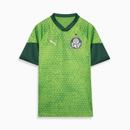 Camisa Treino/Viagem Palmeiras Verde 2024/25 Masculina