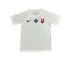 Camisa II Seleção da Eslováquia Branca 2024/25 Masculina