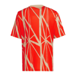 bayern-munich-24-25-pre-match-shirt (6)-Photoroom.png-Photoroom (1)