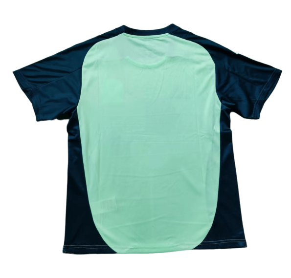 Camisa México Azul/Verde Treino 2024/25 Masculina