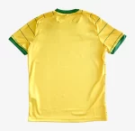camisa-nantes-amarela-aniversario-amarela-2022-23-masculina (1)