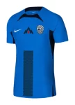 camisa-slovenia-azul-away-ii-2024-25-masculina (1)