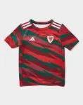 camisa-pre-jogo-pais-de-gales-vermelha-2024 (1)