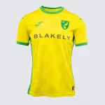 camisa-Titular-norwich-city-amarela-home-i-2024-25-masculina (1)