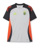 camisa-reserva-benfica-cinza-treino-2024-25-masculina-loja-malta-esportes (1)