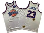 regata-nba-swingman-tune-squad-spacejam-branca-james-23-1024-1024