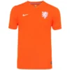 Camisa Holanda Laranja Home I 2014/15 Masculina