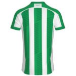 camisa-juventude-verde-titular-2024-25-masculina