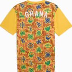camisa-selecao-de-gana-treino-amarela-2024-25-masculina