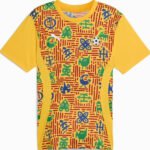camisa-selecao-de-gana-treino-amarela-2024-25-masculina
