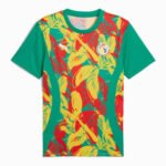 camisa-selecao-de-senegal-treino-2024-25-masculina