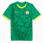 camisa-selecao-senegal-verde-away-2024-25-masculina