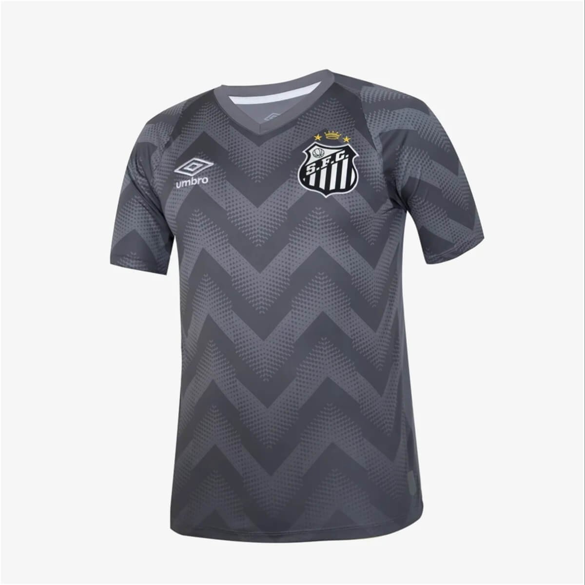 camisa-santos-fc-cinza-2024-25-masculina- Camisa Santos FC Goleiro Cinza 2024/25 Masculina